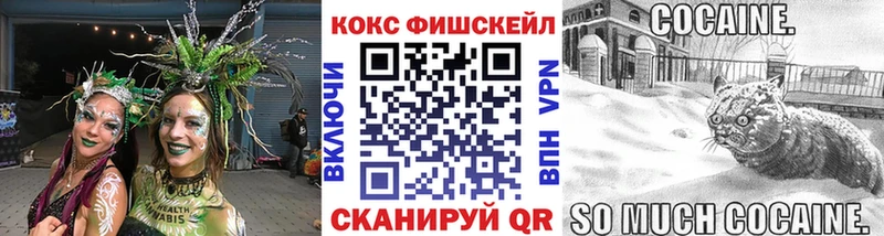 Купить где  Родники  COCAIN Fish Scale 
