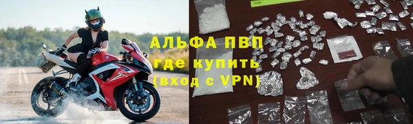 ГАЛЛЮЦИНОГЕННЫЕ ГРИБЫ Краснотурьинск