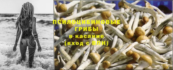 ГАЛЛЮЦИНОГЕННЫЕ ГРИБЫ Краснотурьинск