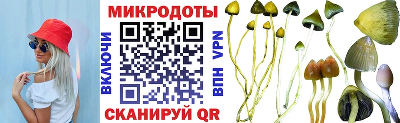 Галлюциногенные грибы Psilocybe  Купить закладки  Родники 