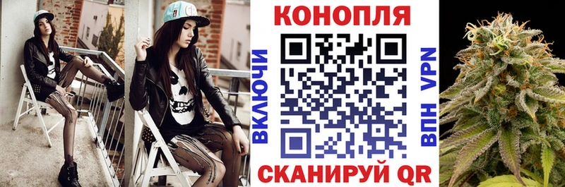Купить где  Родники  МАРИХУАНА планчик 